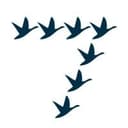 7Geese logo