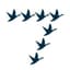 7Geese logo
