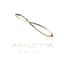 Analemma Water logo