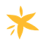 Apria Healthcare logo