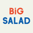 Big Salad logo