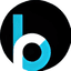 Bloomreach logo