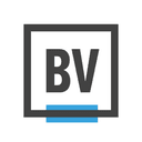 BrandVerity logo