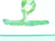 EcoPaper Inc. logo