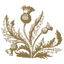 MacRostie Winery logo