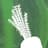 Riverford Organic logo