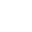 Traveler Guitars logo