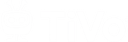 Vewd logo
