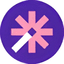 Vizard logo