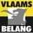 Vlaams Belang logo