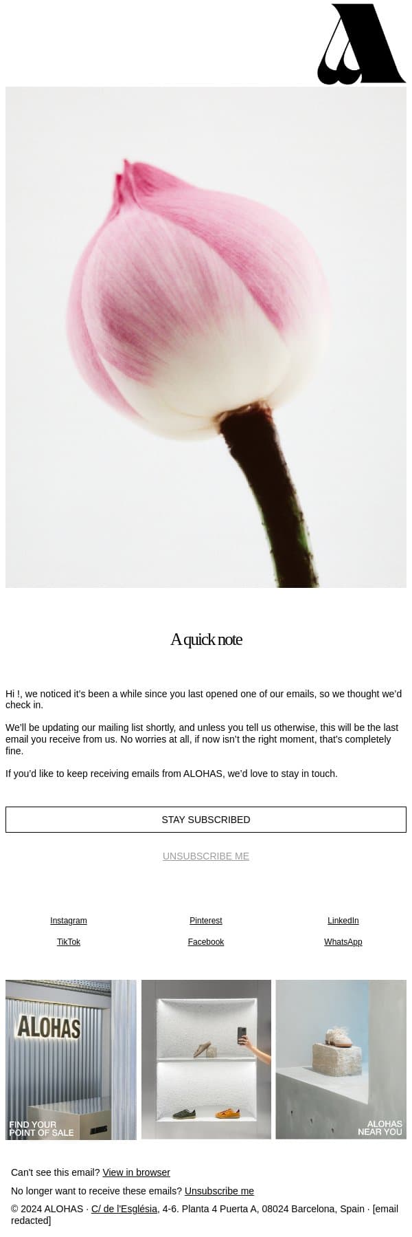Still want to hear from us? email from ALOHAS screenshot