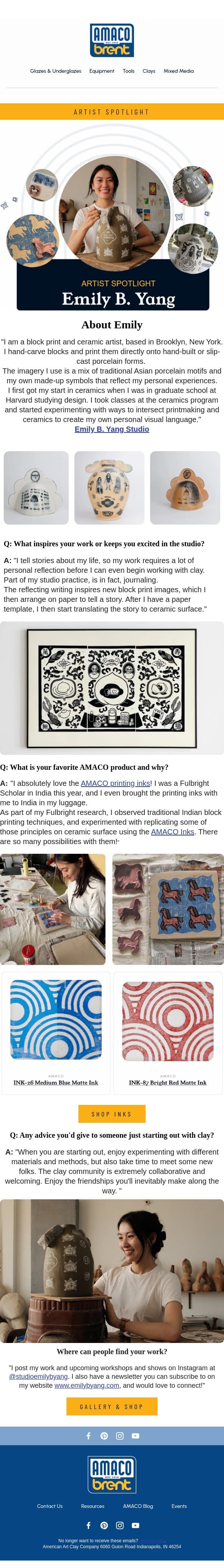Artist Spotlight: Emily B. Yang email from AMACO screenshot