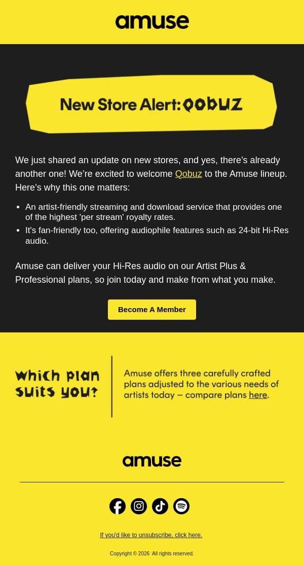 New Store Alert! email from Amuse screenshot