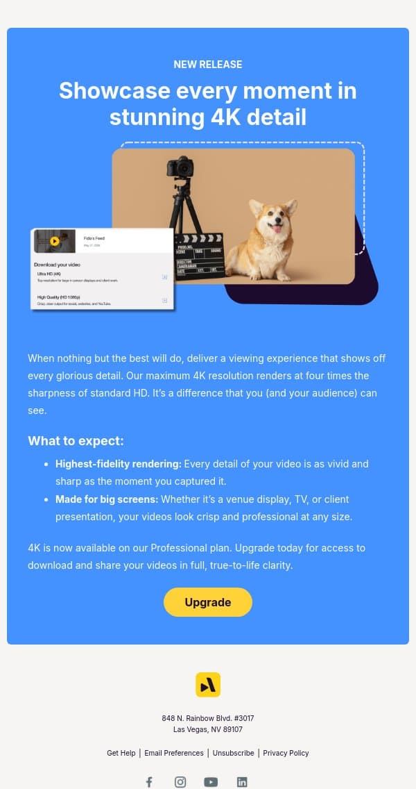 4K video is here email from Animoto screenshot