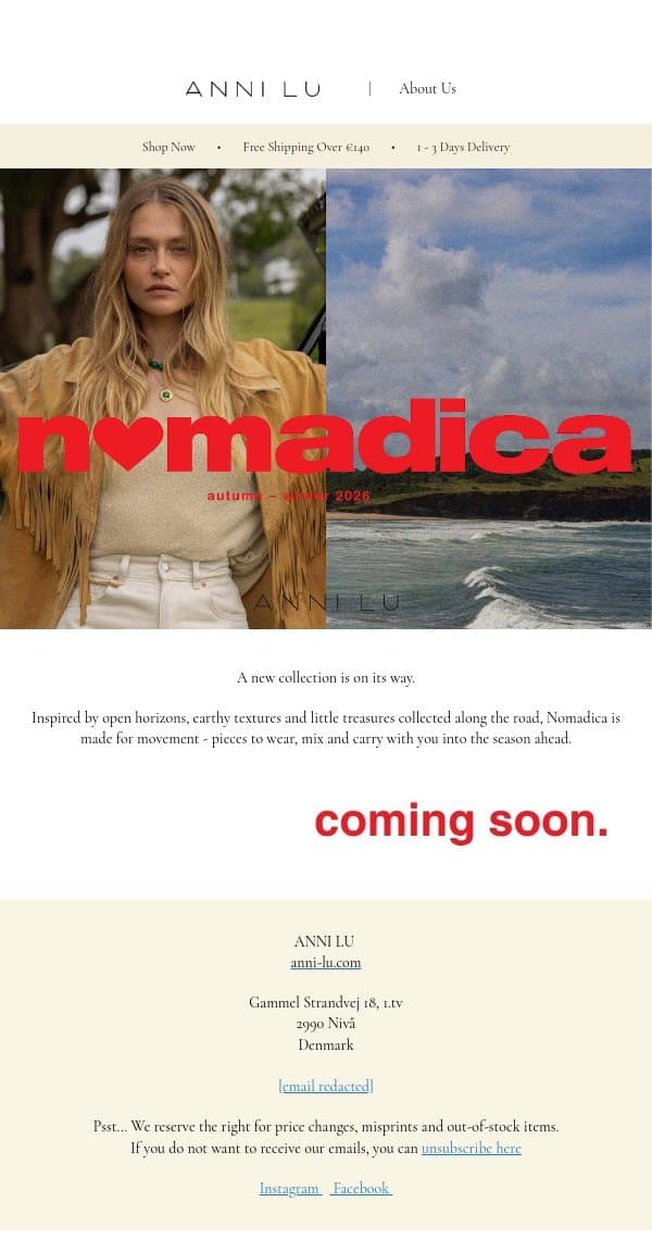 Something new is wandering in email from Anni Lu screenshot