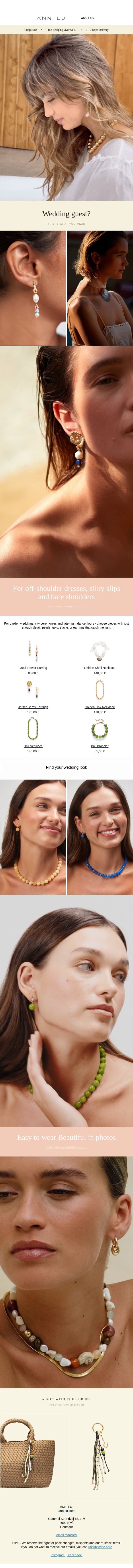 Wedding guest? Start here ✨ email from Anni Lu screenshot