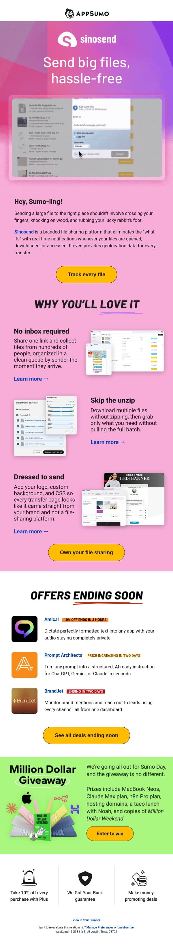 I like big files and I cannot lie email from AppSumo screenshot