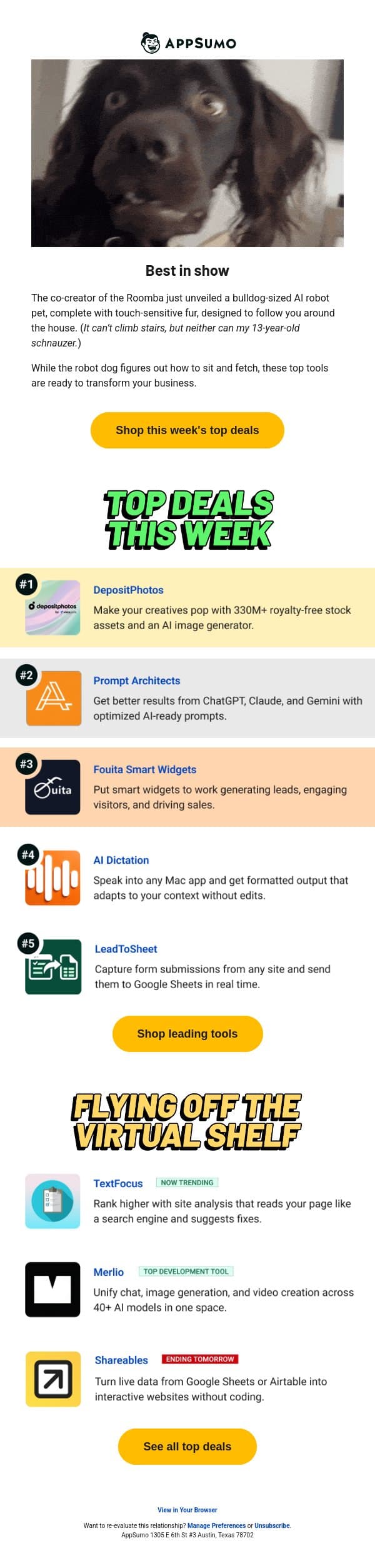 Top dogs email from AppSumo screenshot