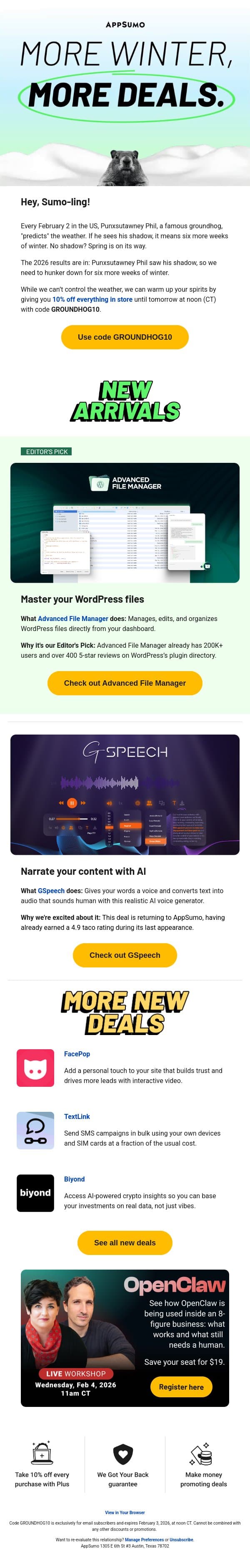 Go (ground)hog wild email from AppSumo screenshot