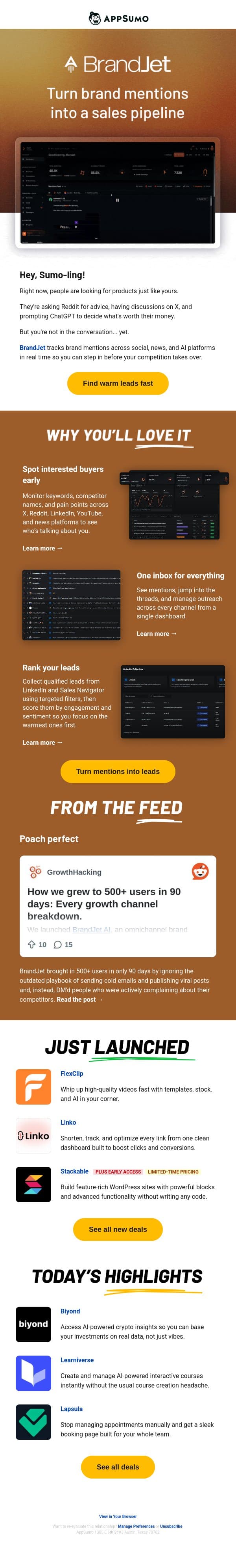 Nothing beats a BrandJet holiday email from AppSumo screenshot
