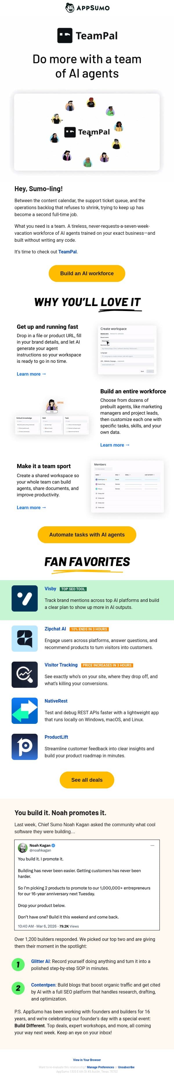 What a team email from AppSumo screenshot