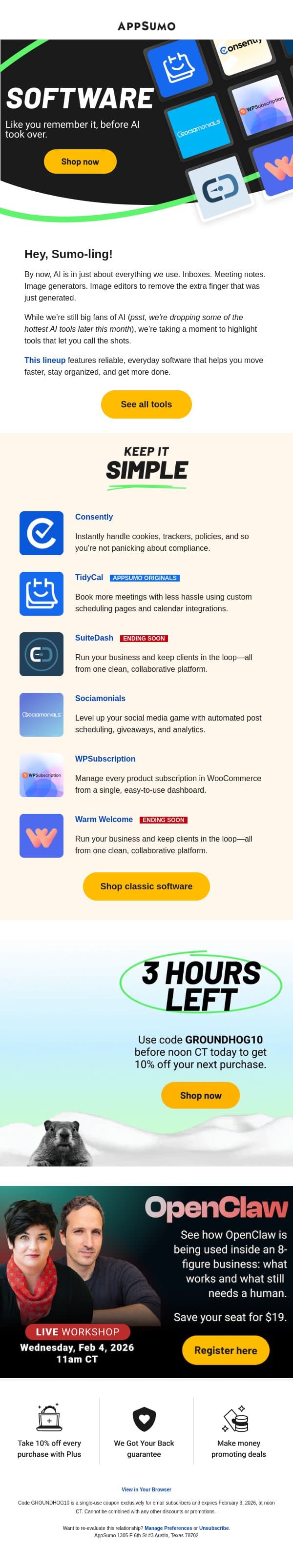 Back to basics email from AppSumo screenshot