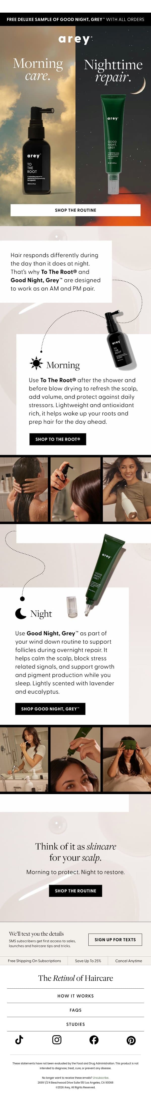 Your AM and PM hair routine email from Arey screenshot