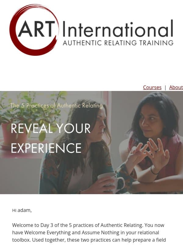 [Day 3 Relational Tools] Reveal Your Experience email from ART