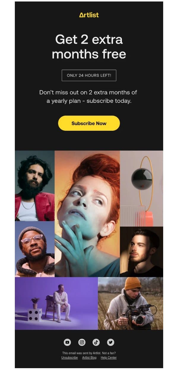 adam, it’s your last chance to get 2 free months! email from Artlist screenshot