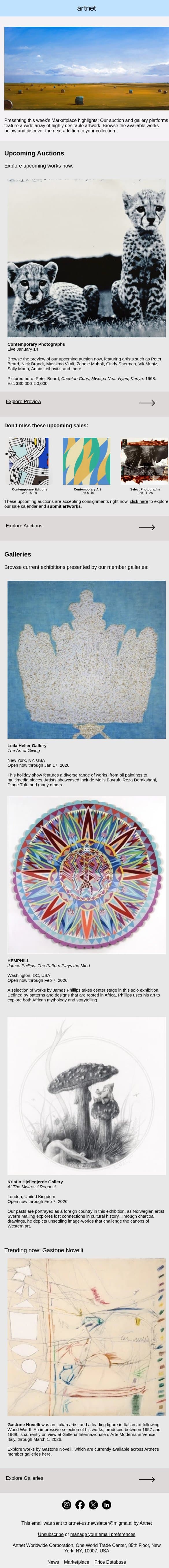 Marketplace Highlights: Outstanding Photographs, Captivating Charcoal Drawings & More email from Artnet screenshot