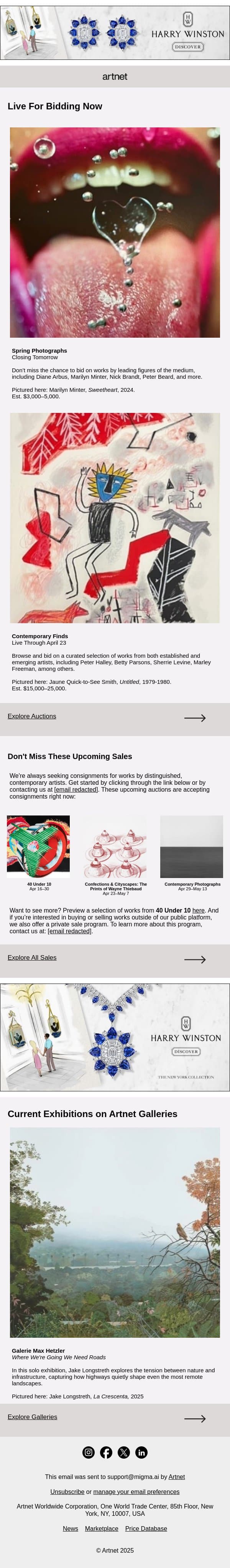 Live Now: Arbus, Minter, Beard & More email from Artnet screenshot