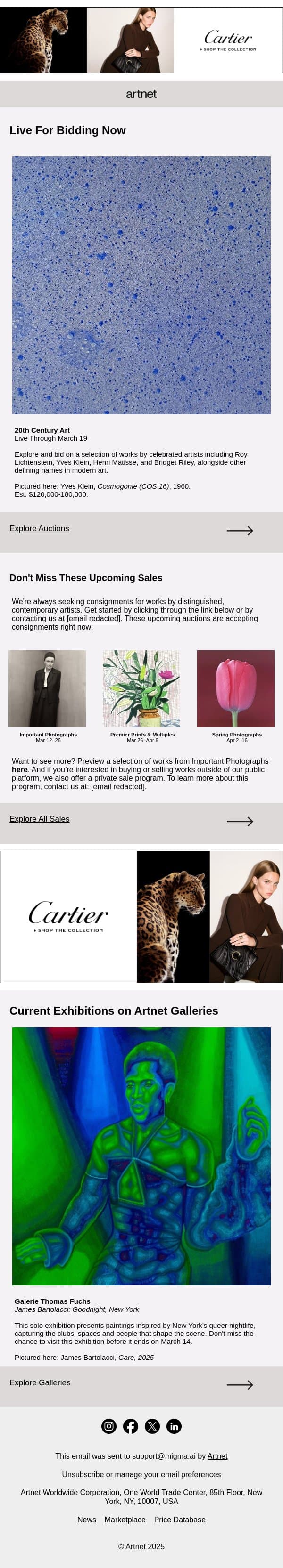 Live Now: Riley, Matisse & More email from Artnet screenshot