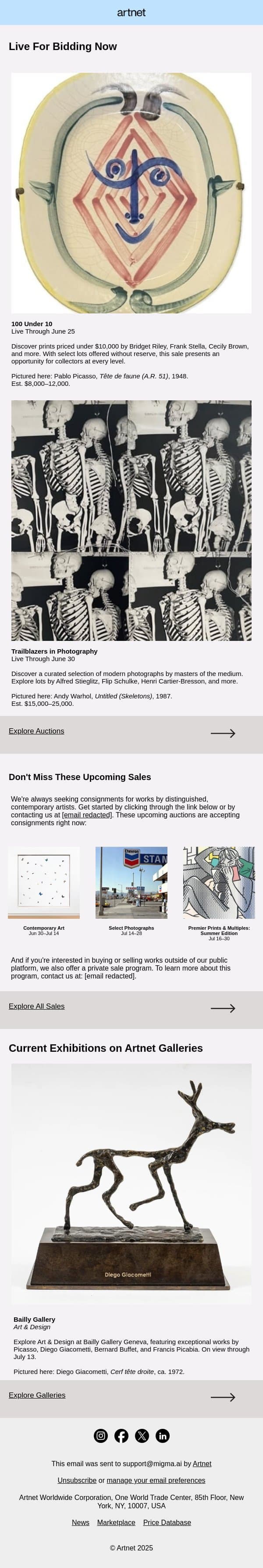 Live Now: Thomas, Riley, Mehretu & More email from Artnet screenshot