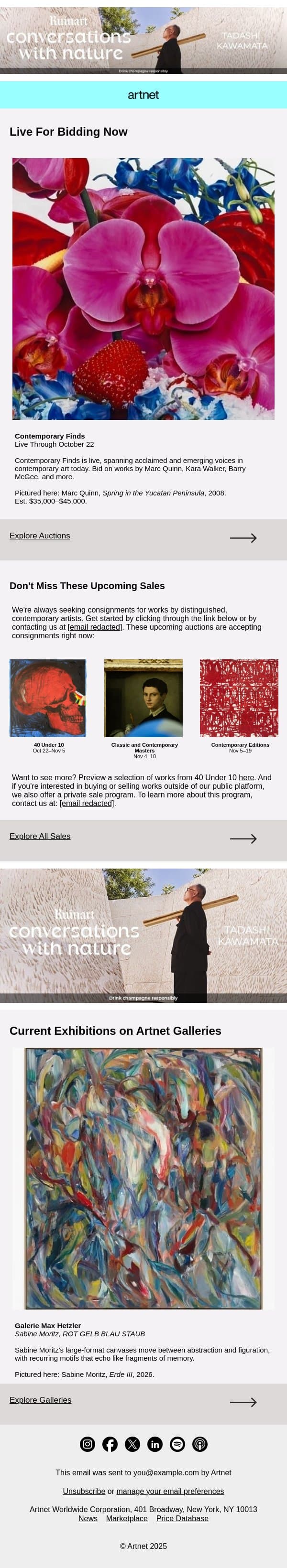 Live Now: Quinn, Walker, McGee & More email from Artnet screenshot