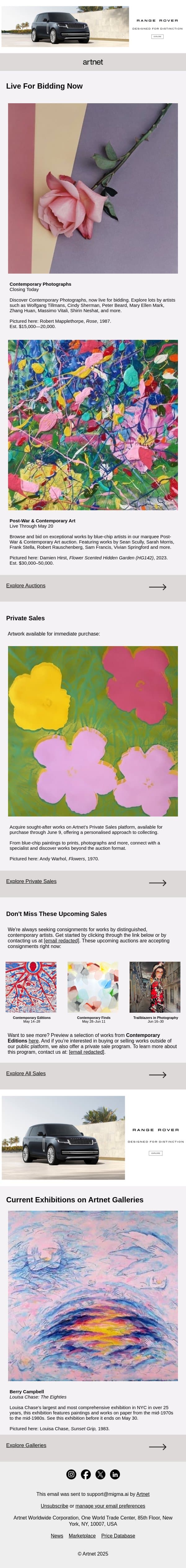 Live Now: Tillmans, Sherman, Mapplethorpe & More email from Artnet screenshot