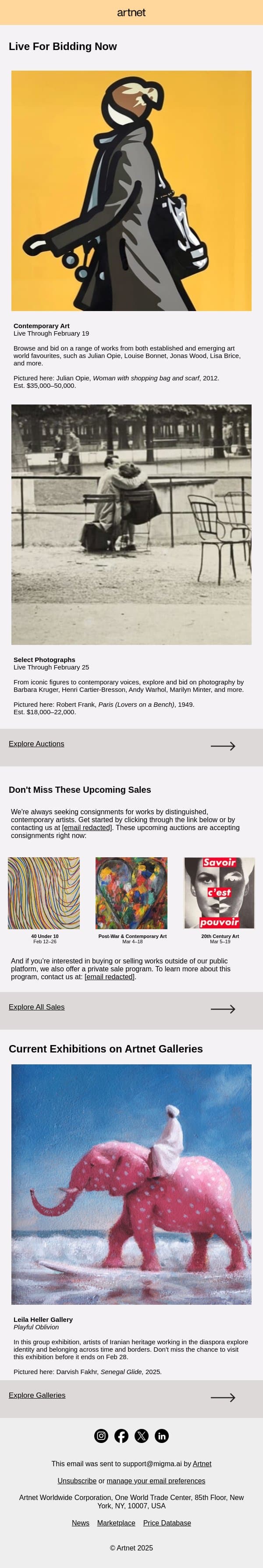 Live Now: Opie, Kruger, Warhol & More email from Artnet screenshot