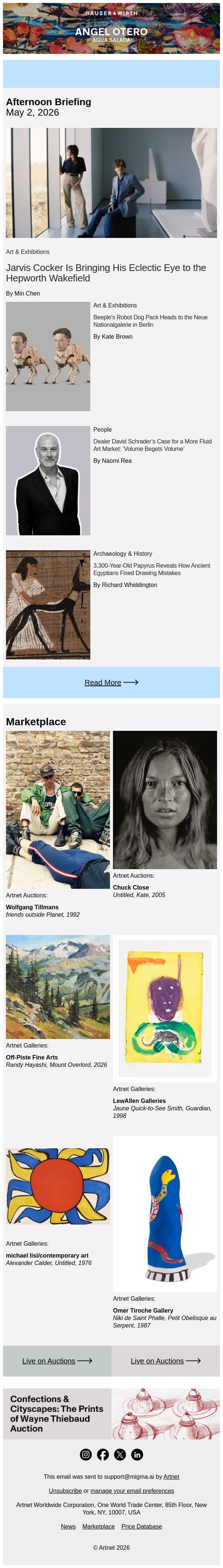 Jarvis Cocker to Curate Hepworth Wakefield Show email from Artnet screenshot