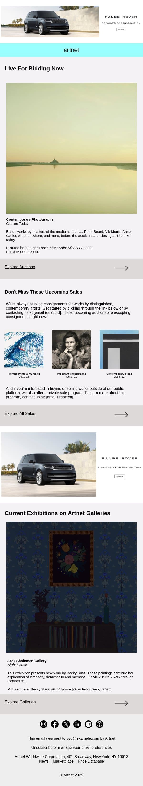 Live Now: Esser, Beard, Muniz & More email from Artnet screenshot
