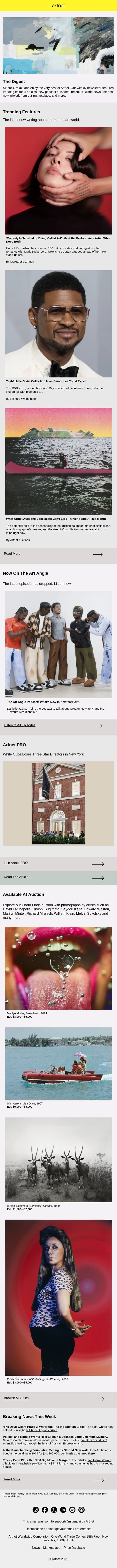 The Performance Artist That Does Comedy and Art, Usher's Art Collection & More email from Artnet screenshot
