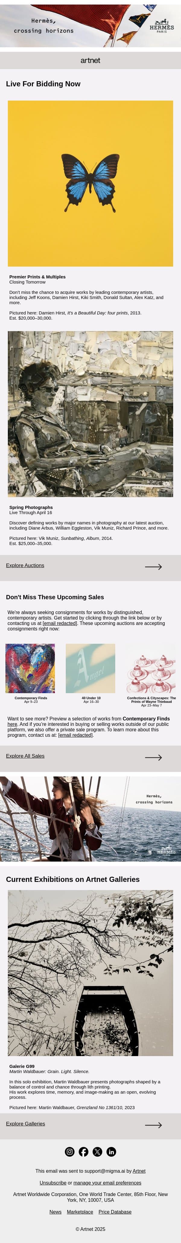 Live Now: Smith, Katz, Prince & More email from Artnet screenshot