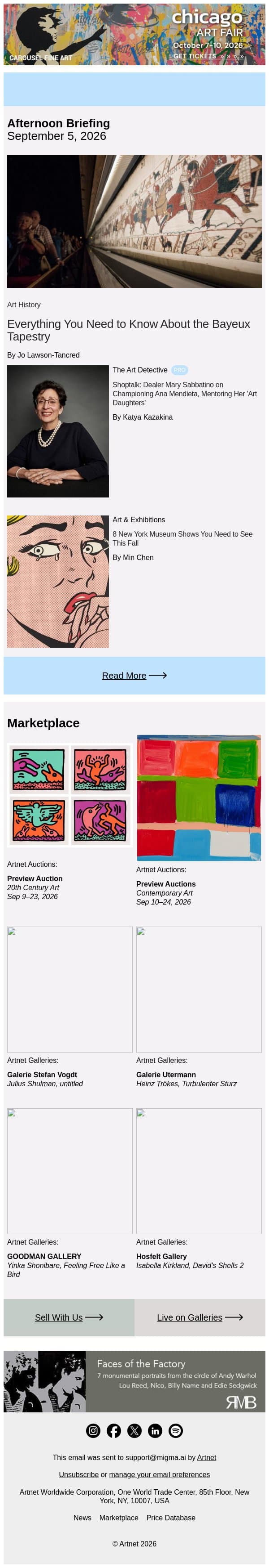 The Bayeux Tapestry, Explained email from Artnet screenshot
