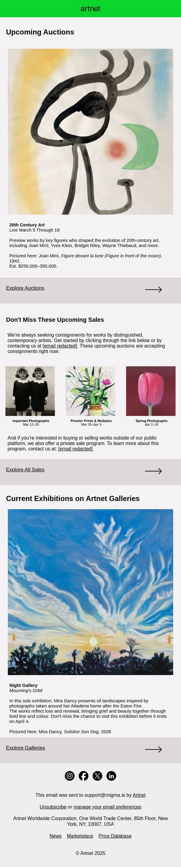 Discover: Miró, Klein, Riley & More email from Artnet screenshot