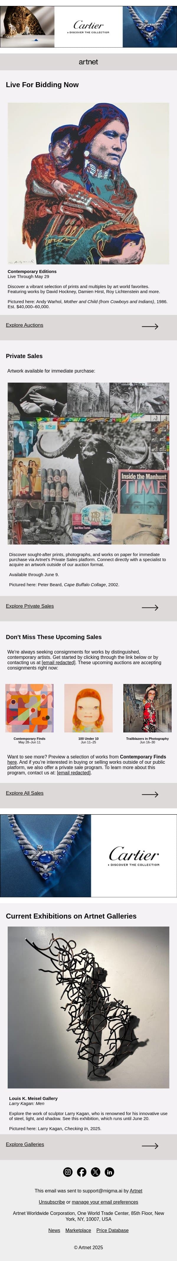 Live Now: Arbus, Avedon, Eggleston & More email from Artnet screenshot