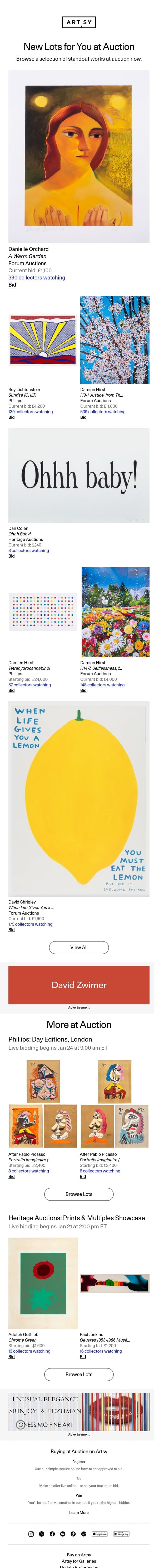 New auction lots for you on Artsy email from Artsy screenshot
