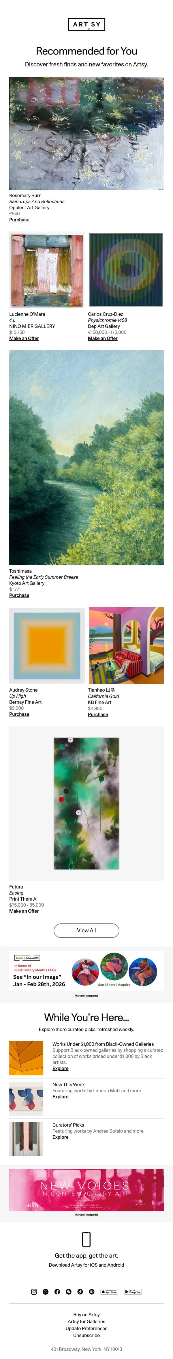 New works for Adam by Rosemary Burn and more email from Artsy screenshot