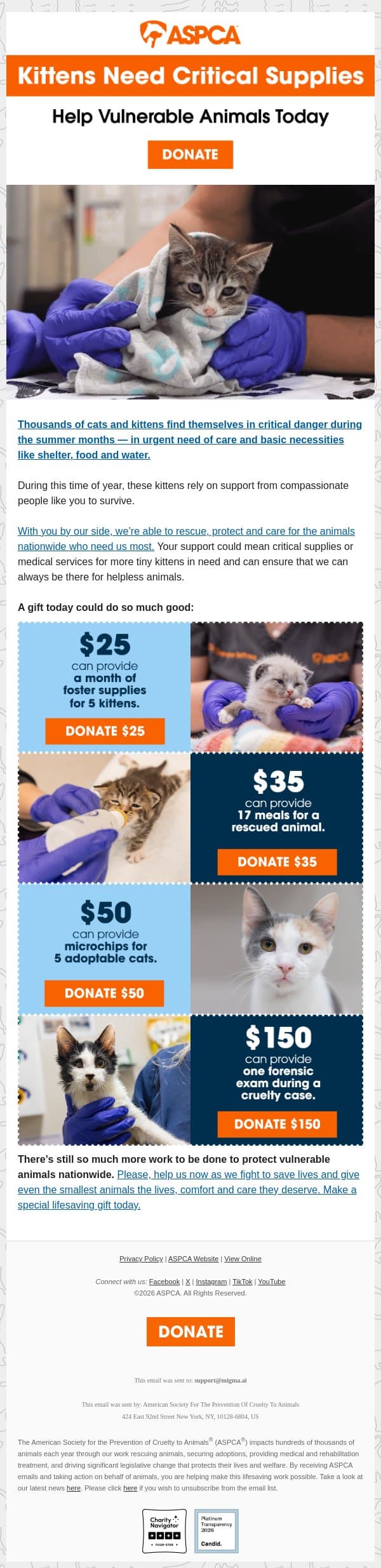 Save Kittens’ Lives with Vital Supplies [Act Now] email from ASPCA screenshot