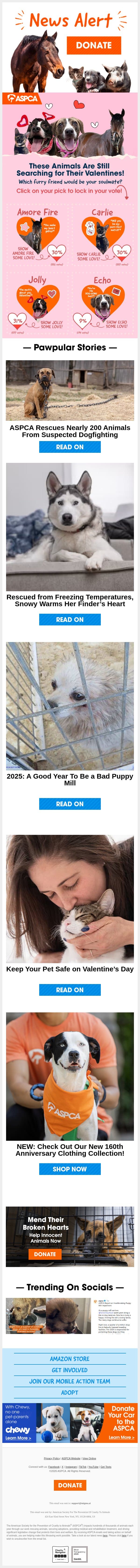 Pick Your Paw-fect Match [VOTE] email from ASPCA screenshot