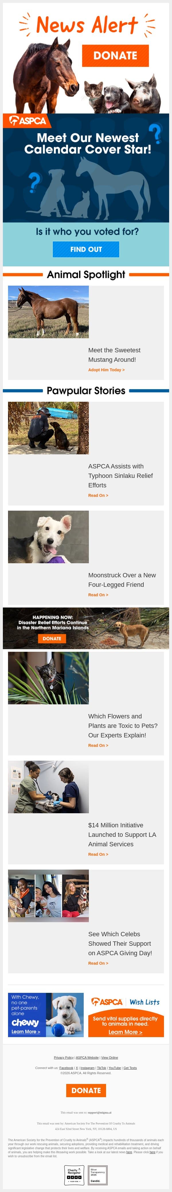 Your 2027 Calendar Cover Star… email from ASPCA screenshot