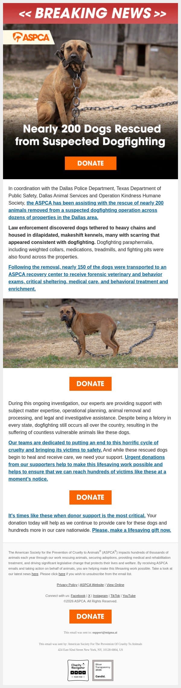 Nearly 200 Dogs Rescued [HELP NOW] email from ASPCA screenshot