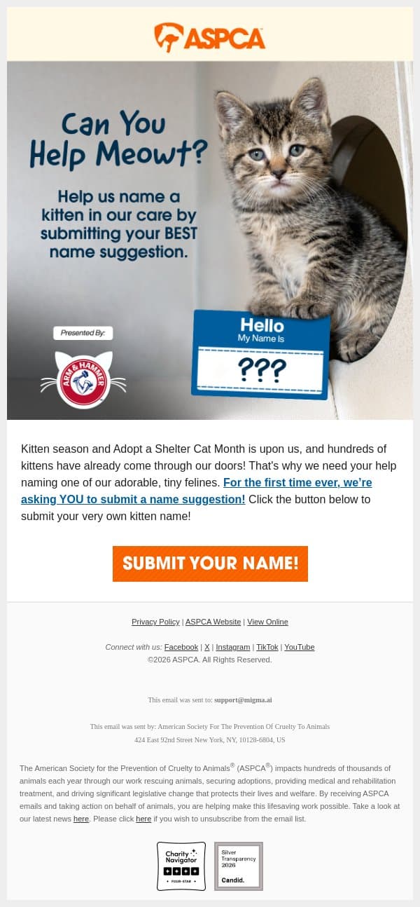 Pick a Cute Kitten Name! email from ASPCA screenshot